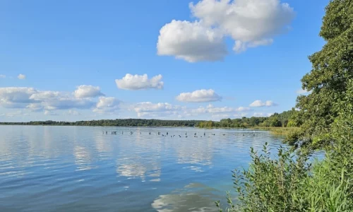 See mit Grün herum und blauer Himmel mit Wolken